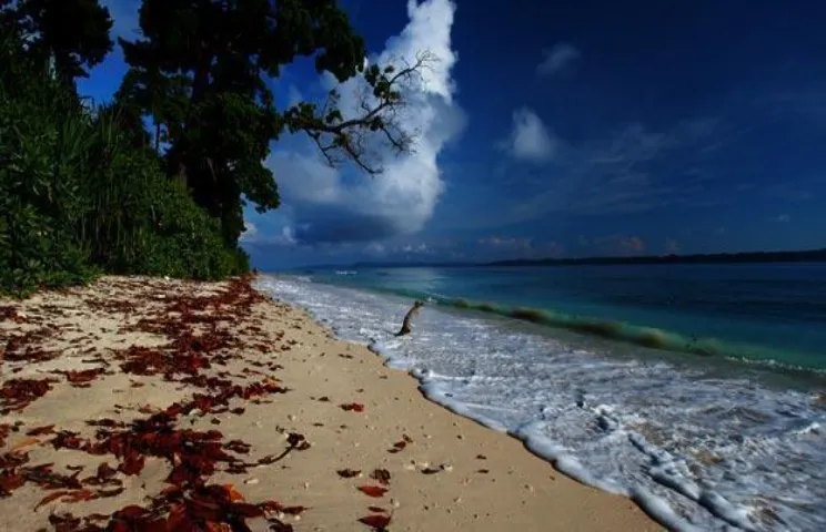 Andaman Islands - The combination of Blue Water and Green Islands